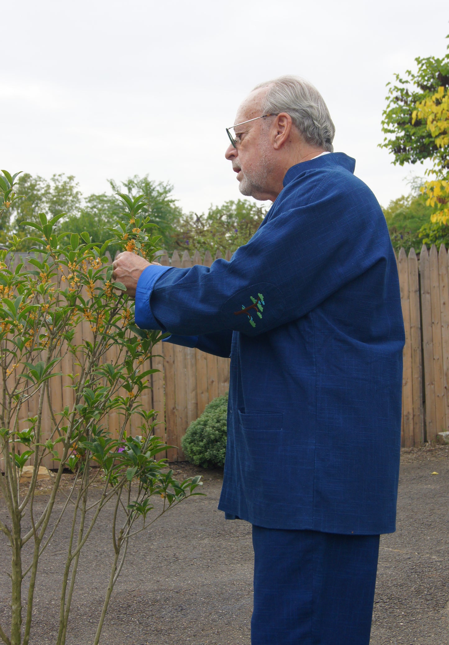 Greeting Pine-Michael’s Mandarin Jacket